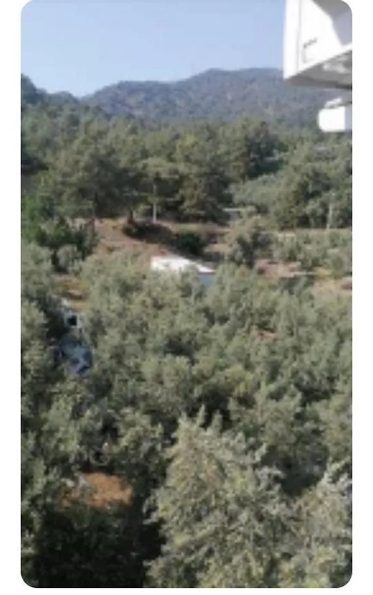 Elif Su Apartment Fethiye Turkey