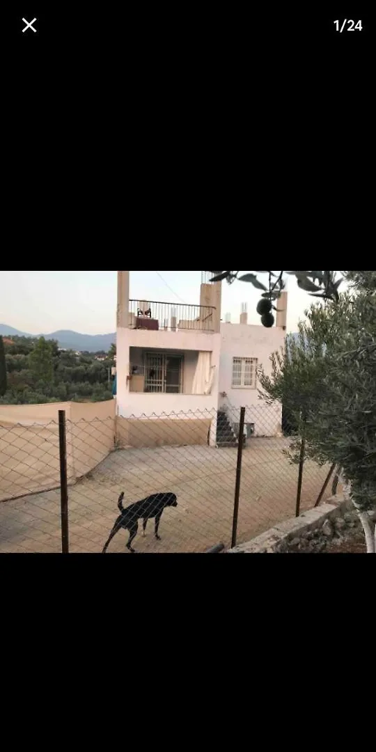 Elif Su Apartment Fethiye 0*,  Turkey